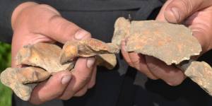 У Ніжині, біля Тарасової церкви, відкопали людські кістки. Фотофакт