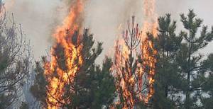 Через спеку і необачність горять ліси та гинуть на воді люди