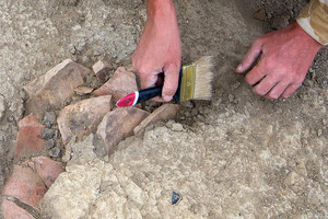 Що шукає міжнародна археологічна експедиція на Новгород-Сіверщині?