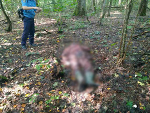 У сновських лісах поліція знайшла вбитого грибника