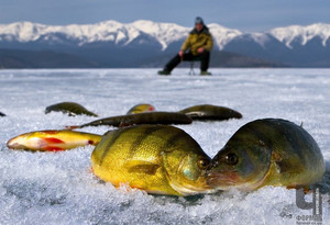 Чернігівський рибоохоронний патруль роз’яснює правила зимової риболовлі