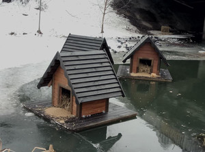 Для качок на річці Стрижень встановили плаваючі будиночки