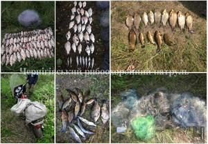 Чернігівським рибоохоронним патрулем за тиждень викрито 19 порушень