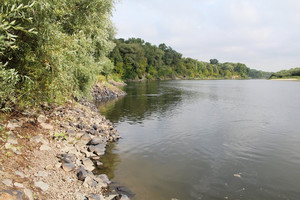Зафіксоване інтенсивне переформування лівого берега річки Десни біля Чернігова