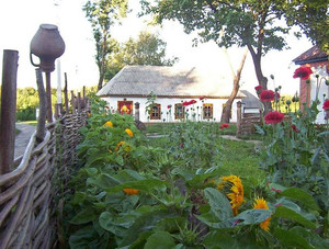 Оригінальний будинок писаря на «Соколиному хуторі»