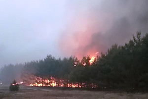 Триває ліквідація масштабної пожежі лісу на Чернігівщині
