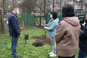 На подвір’ї міської бібліотеки Коцюбинського посадили грушу на честь Лесі Українки