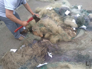 Чернігівським рибоохоронним патрулем знищено понад чотири кілометри сіток