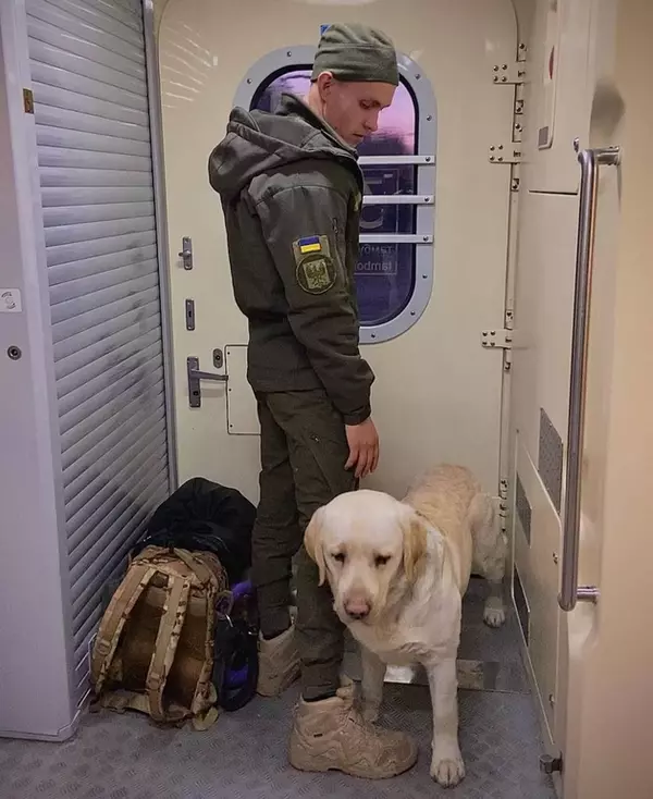 Військового з собакою не впустили у вагон "Інтерсіті"