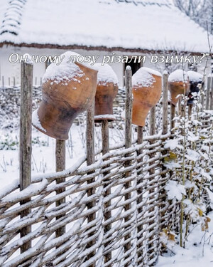 Тин — жива межа і справжня мала архітектура