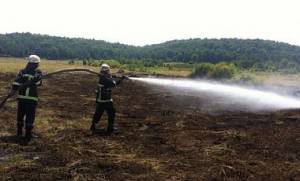 Оперативна інформація щодо пожеж в природних екосистемах Чернігівщини