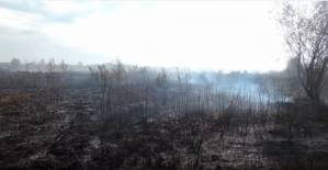 Остаточно ліквідовано пожежу на торфовищі у селі Данівка Козелецького району