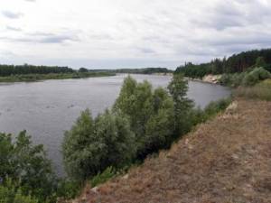 На Чернігівщині планується створити ще один національний природний парк
