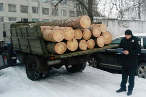 У Чернігівському районі затримано лісорубів-браконьєрів. Фото