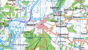 Вибори на Чернігівщині: спалена машина і незаконні округи