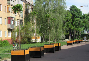 Озеленення проспекту Миру в Чернігові