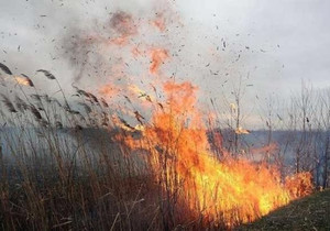 На Чернігівщині масштабна пожежа