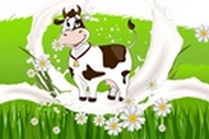 Наприкінці літа в Чернігові відбудеться V Фестиваль молока