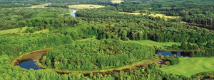Чернігівська ОДА закликає спільно протидіяти незаконним рубкам лісів