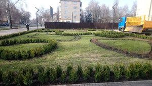 Біля міського палацу культури в Чернігові будуть квітнути сакури