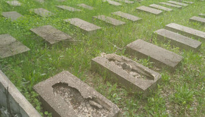 На кладовищі німецьких військовополонених невідомі зіпсували 37 надгробків
