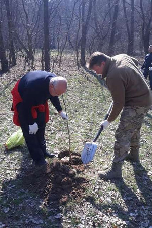 У Ялівщині висаджено майже 900 саджанців молодняку та видалено 48 аварійних дерев