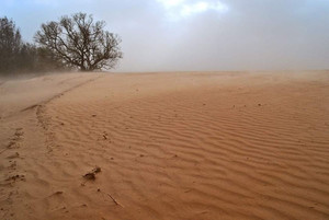 Семенівські пустелі. Фотофакт