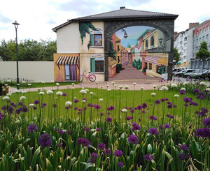 Чернігівський сквер прикрасила декоративна цибуля Алліум