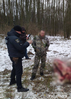 Поліція Чернігівщини затримала особу, яка вбила червонокнижну лосиху