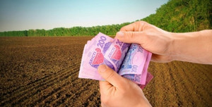 Найдешевшу ціну за 1 гектар відчужених земель зафіксовано на Чернігівщині