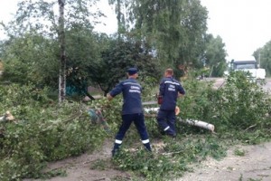 Буревій на Чернігівщині позривав дахи та знеструмив майже 69 тисяч абонентів