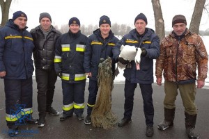 Чернігівські надзвичайники врятували двох лебедів із замерзлої водойми