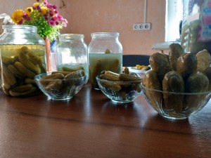 У Ніжині планують створити музей огірка